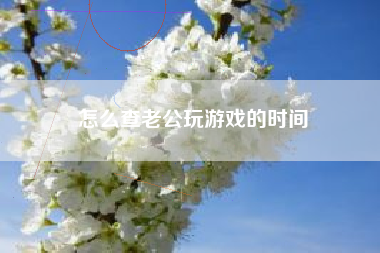 怎么查老公玩游戏的时间