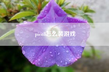 pico3怎么装游戏