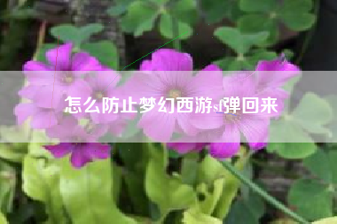 怎么防止梦幻西游sf弹回来