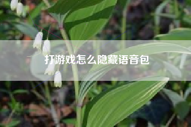 打游戏怎么隐藏语音包