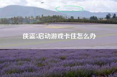 侠盗5启动游戏卡住怎么办