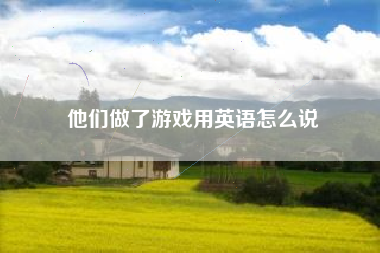 他们做了游戏用英语怎么说