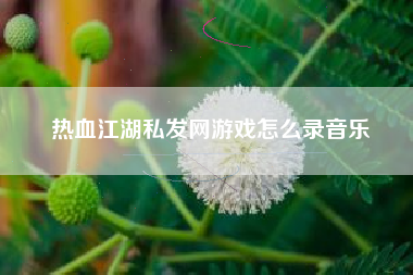 热血江湖私发网游戏怎么录音乐