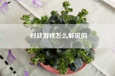 对战游戏怎么解说的