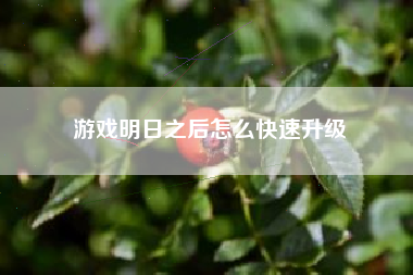 游戏明日之后怎么快速升级