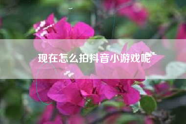 现在怎么拍抖音小游戏呢