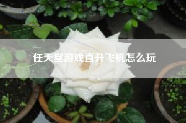 任天堂游戏直升飞机怎么玩