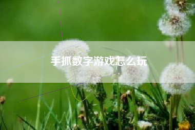 手抓数字游戏怎么玩