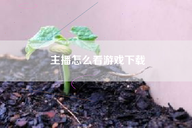主播怎么看游戏下载
