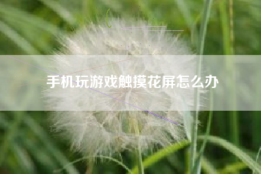 手机玩游戏触摸花屏怎么办