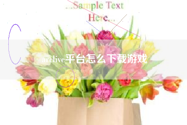 arclive平台怎么下载游戏
