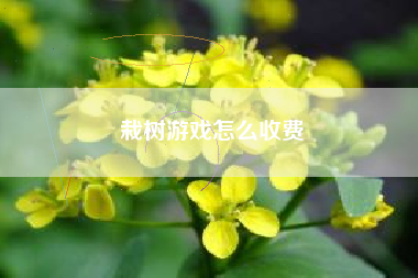 栽树游戏怎么收费