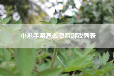 小米手游怎么隐藏游戏列表