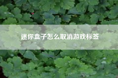 迷你盒子怎么取消游戏标签