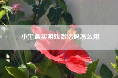 小黑盒买游戏激活码怎么用
