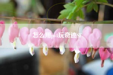 怎么用ps4玩奇迹SF