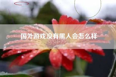 国外游戏没有黑人会怎么样