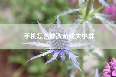手机怎么修改游戏大小屏