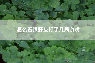 怎么看跟好友打了几局游戏