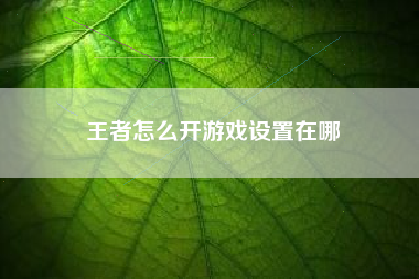 王者怎么开游戏设置在哪