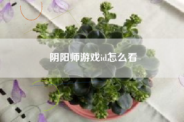 阴阳师游戏id怎么看