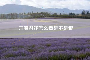 开船游戏怎么看是不是狼