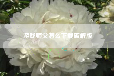 游戏师父怎么下载破解版