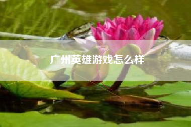 广州英雄游戏怎么样