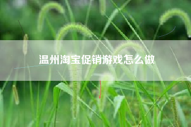温州淘宝促销游戏怎么做