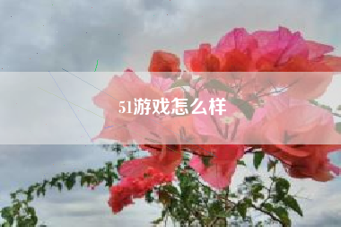 51游戏怎么样
