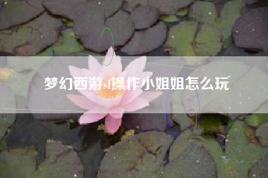梦幻西游sf操作小姐姐怎么玩