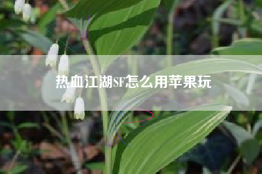 热血江湖SF怎么用苹果玩