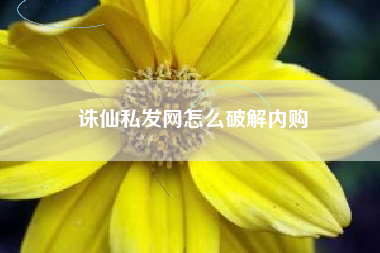 诛仙私发网怎么破解内购