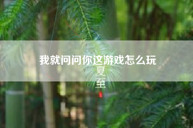 我就问问你这游戏怎么玩