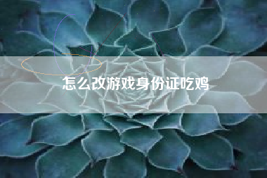 怎么改游戏身份证吃鸡