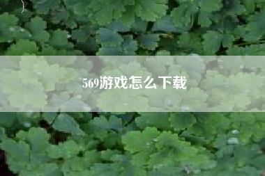 569游戏怎么下载