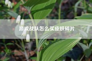游戏战队怎么买皮肤碎片