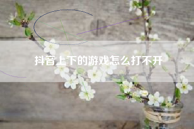 抖音上下的游戏怎么打不开