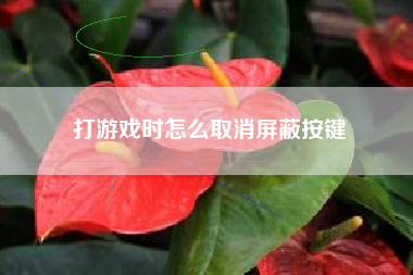 打游戏时怎么取消屏蔽按键