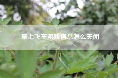 掌上飞车游戏信息怎么关闭