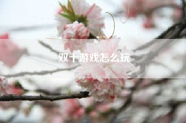 双十游戏怎么玩