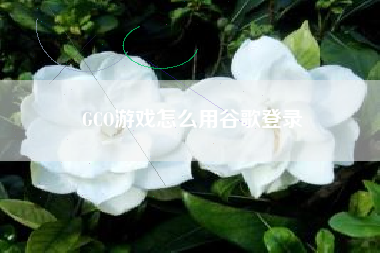 GCO游戏怎么用谷歌登录