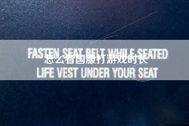 怎么看国服打游戏时长