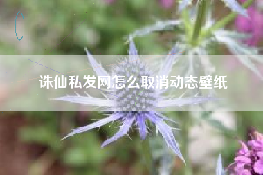 诛仙私发网怎么取消动态壁纸
