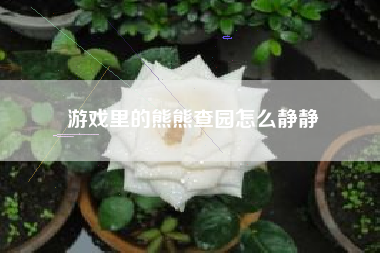 游戏里的熊熊查园怎么静静