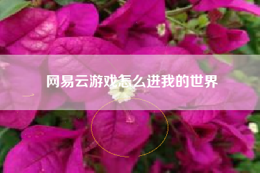 网易云游戏怎么进我的世界