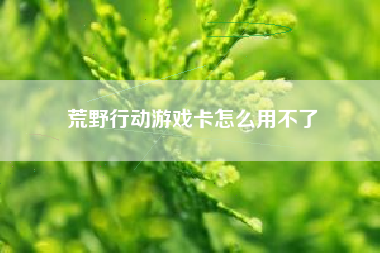 荒野行动游戏卡怎么用不了