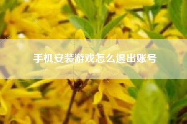 手机安装游戏怎么退出账号