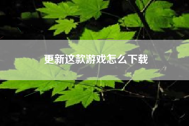 更新这款游戏怎么下载