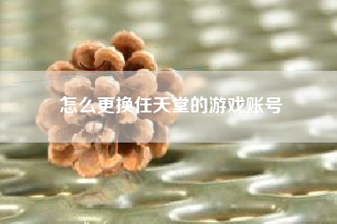怎么更换任天堂的游戏账号
